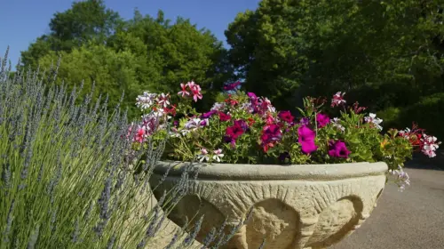 Campsite Domaine de la Paille Basse - Soulliac, Dordogne, France