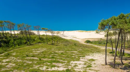 Campsite Le Vieux Port - Messanges, Nouvelle-Aquitaine, Southern France