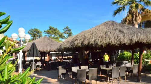 Campsite Le Vieux Port - Messanges, Nouvelle-Aquitaine, Southern France