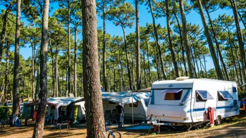Campsite Le Vieux Port - Messanges, Nouvelle-Aquitaine, Southern France