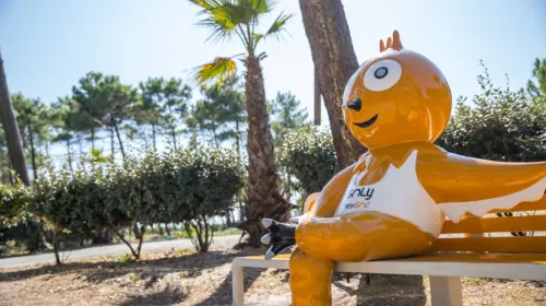 Campsite Le Vieux Port - Messanges, Nouvelle-Aquitaine, Southern France