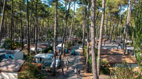 Campsite Le Vieux Port - Messanges, Nouvelle-Aquitaine, Southern France