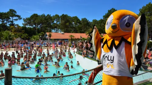 Campsite Le Vieux Port - Messanges, Nouvelle-Aquitaine, Southern France