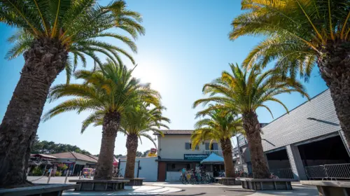 Campsite Le Vieux Port - Messanges, Nouvelle-Aquitaine, Southern France