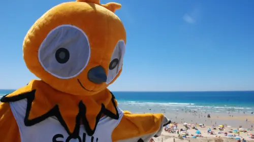 Campsite Le Vieux Port - Messanges, Nouvelle-Aquitaine, Southern France