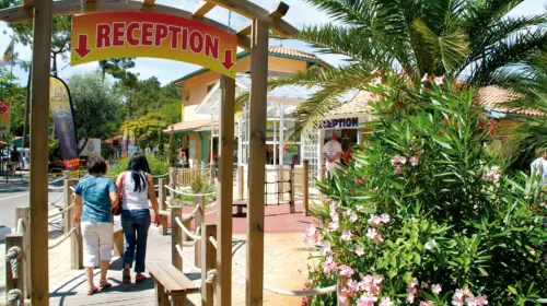 Campsite Le Vieux Port - Messanges, Nouvelle-Aquitaine, Southern France